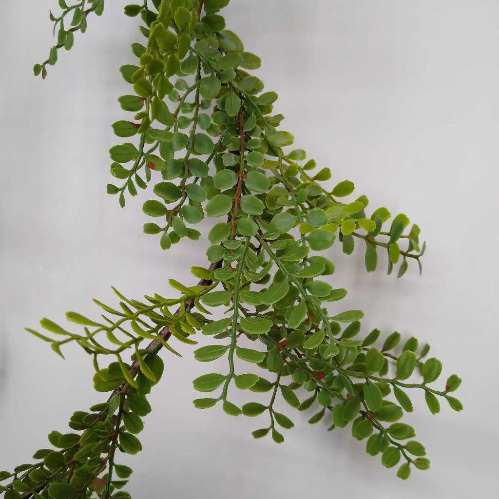 GREEN, MAGNOLIA GARLAND - Image 3